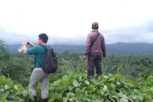 Hasil Riset IUCN, Kelapa Sawit 9 Kali Lebih Efisien dalam Penggunaan Lahan