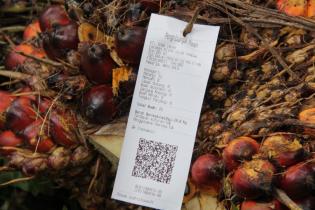 Kelapa Sawit Semakin Berkelanjutan dengan Revolusi Industri 4.0 Kelapa Sawit Semakin Berkelanjutan dengan Revolusi Industri 4.0