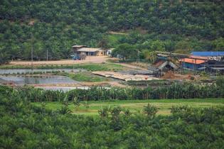 Generating Electricity from Biogas of Palm Oil Mill Effluent, Why Not? Generating Electricity from Biogas of Palm Oil Mill Effluent, Why Not?