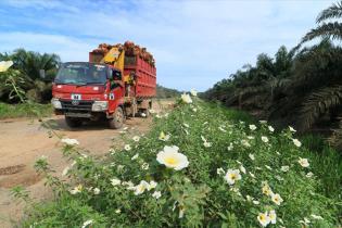 Astra Agro Raih Environment Social Governance (ESG) Award 2020