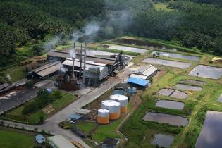 eKomoditi Implementasikan IoT dan AI di Pabrik Kelapa Sawit